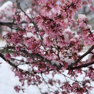 Meet your Posher, Hayleigh